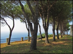 I nascondigli della Bella Addormentata