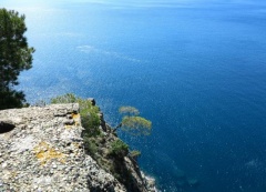 Il miglior souvenir dalle Cinque Terre