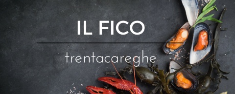 il_fico