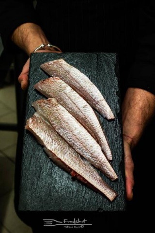 pesce
