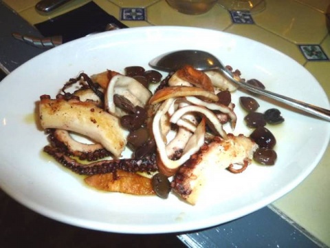 octopus