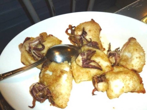 squid