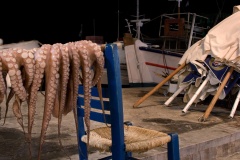 Octopus Festival in Tellaro