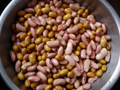 Festival of Bigliolo bean