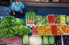 Farmer's Market