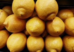 Sagra del limone di Monterosso