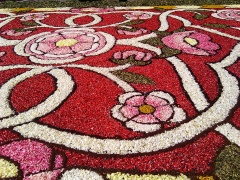 Floral display in Brugnato